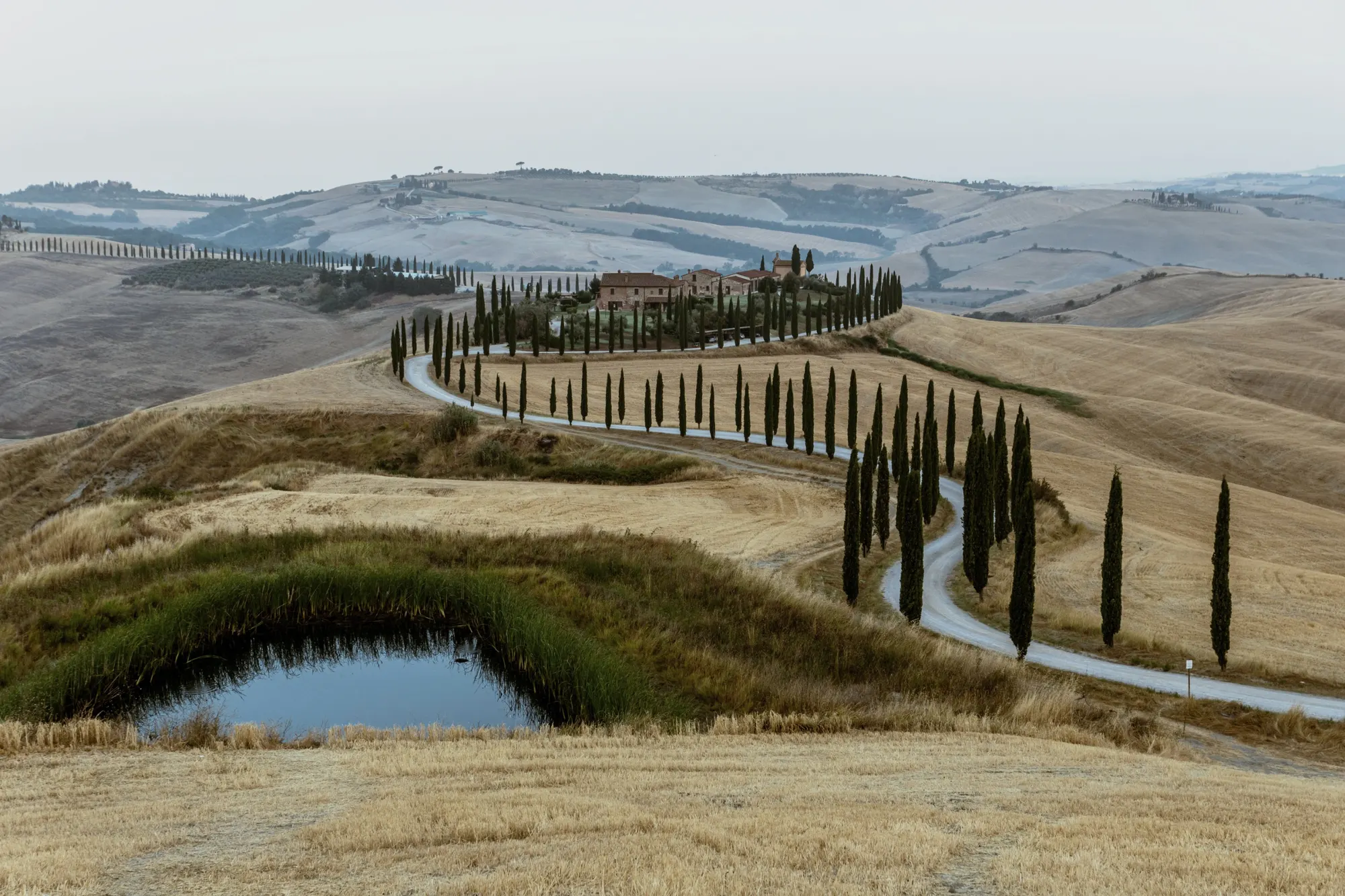 Cypress-lined road winding through the Tuscan countryside